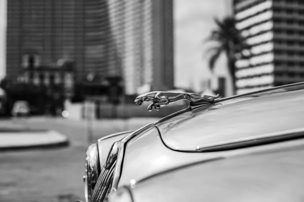 Casino Golden Reels Android/iOS aplikacija